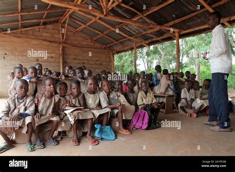 Ecoliers d afrique.  C&rsquo;est celle de Nelson, notre ami et partenaire...