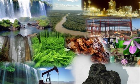 Ecología y conservación de recursos naturales renovables. - Linhas e pontos - vol. 10.