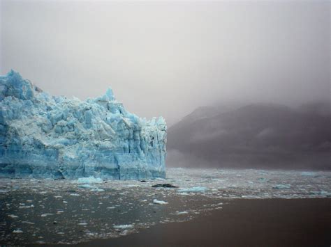 Ecological Disruption in the Arctic National Wildlife Refuge