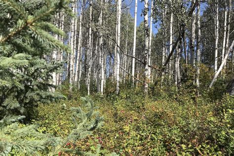 Ecological Reserves Listed Alphabetically