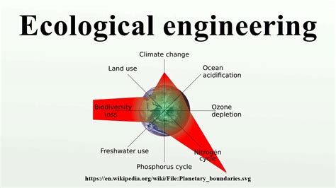 Ecological engineering - Wikipedia