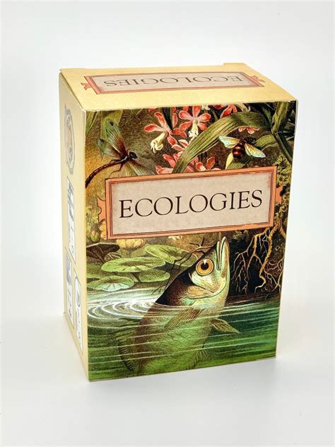 Ecologies Card Game Gameplay Inspired by Nature Use Science to