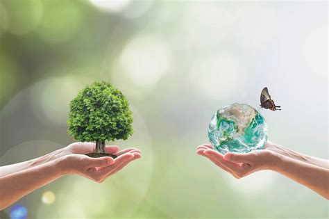 Ecology and environment. Things To Know About Ecology and environment. 