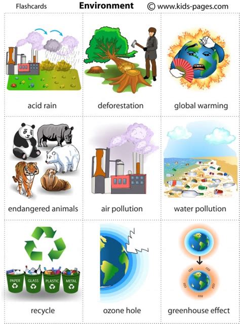 Study with Quizlet and memorize flashcards containing terms like 1.Define ecology, List and briefly describe the hierarchical sub-disciplines of ecology:, Explain why scientists sample a subpopulation rather than an entire population when gathering scientific data and more.. 
