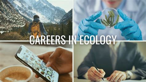 Ecology jobs jobs, volunteering, courses & events