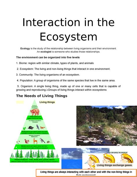 Ecology vocabulary interactions within the environment. Things To Know About Ecology vocabulary interactions within the environment. 