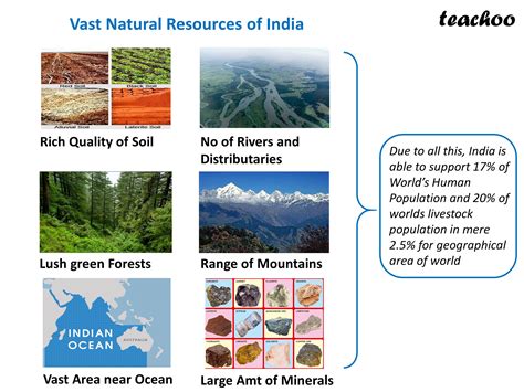 Economic Resources of India - theintactone