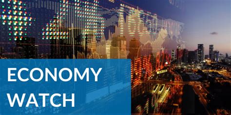 Economy Watch: European View (July 2024) - The Conference Board