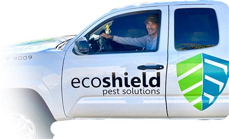 Ecoshield pest. Pests can be a nuisance, causing damage to your property and posing health risks to you and your family. In order to maintain a healthy home, it is crucial to invest in regular pes... 