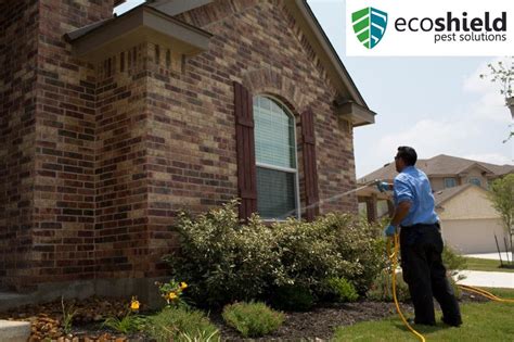 Join the 234 people who've already reviewed Eco Shield Pest Control. Your experience can help others make better choices. | Read 21-40 Reviews out of 232 ... I tried EcoShield Pest Solutions this year, and they promised to spray the inside and outside of the house, knock down spider webs from the eaves, wasps nests and etc. ... Read 1 more ...