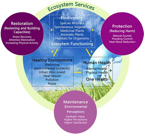 Ecosystem And Human Health