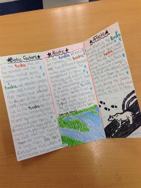 Tokyo Travel Brochure