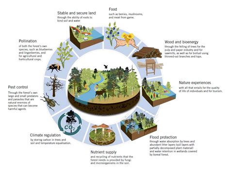 Ecosystem Goods & Services (EG&S) in Bangladesh – …