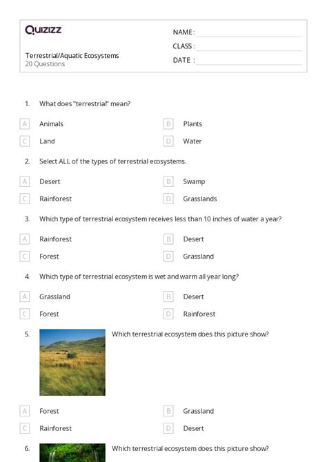 Ecosystem Quiz 3rd Grade
