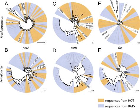 Ecosystem-specific selection pressures revealed through …