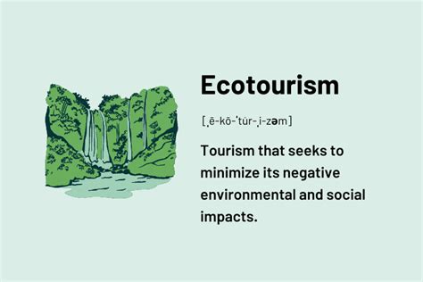 Ecotourism Definition & Meaning - Merriam-Webster