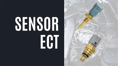 Ect Sensor