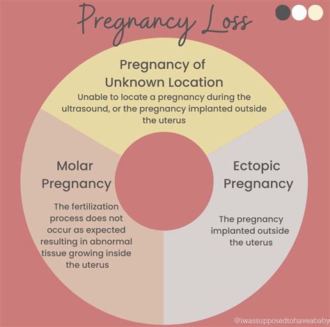 Ectopic Pregnancy and Pregnancy of Unknown Location (PUL)