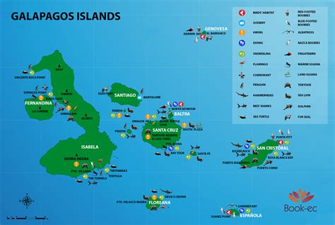 Download Ecuador  Galapagos Adventure Travel Map By Not A Book