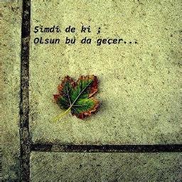 Edebiyat kulübü Ah Diego , Senden niye vazgeçtim Diego.. 