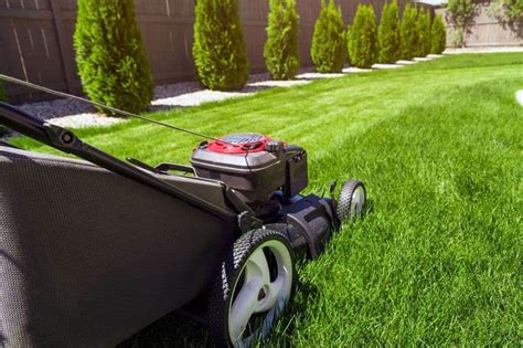 Eden, NC Lawn Care Service Lawn Mowing from $19 Best of …