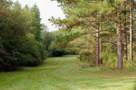 Edgefield County, SC Land for Sale - 141 Properties