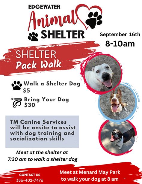 Edgewater animal shelter. Edgewater Animal Shelter Inc - Support the Animal Shelter's Mission. Donate Today to Support Our Shelter's Mission. Donation Amount. $20. Heartgard for a shelter dog. $25. Donate to our medical fund. $40. … 