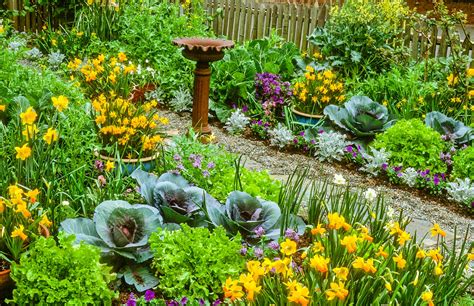 Edible landscaping. Things To Know About Edible landscaping. 