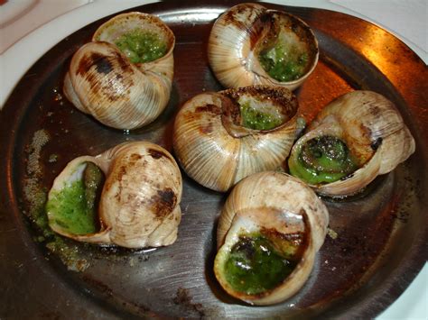 Edible snails nz.  Easy to prepare and impressive to boot.  Based in Burgundy,...