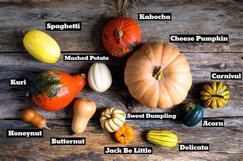 Here are our top three types of edible pumpkins: Pumpkin Field Trip F1 Seed: These deep orange pumpkins with distinctive handles are especially popular with children on field trips. Pumpkin Baby Boo Seed: Experience a creamy white mini pumpkin that tastes just as good as it looks. Pumpkin Jarrahdale Seed: With its attractive gray color and .... 