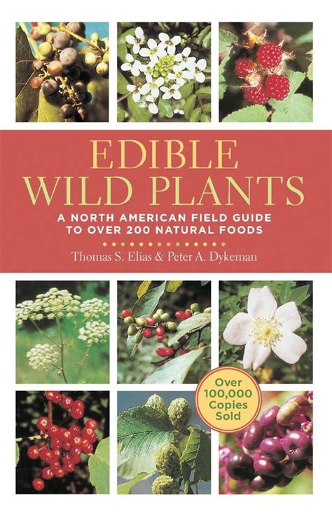 Download Edible Wild Plants A North American Field Guide To Over 200 Natural Foods By Thomas Elias