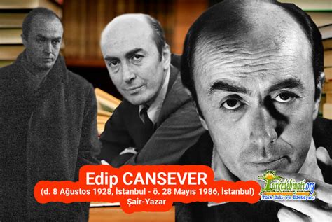 veodersti.rgarabwor.edu.pl. 