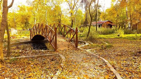 veodersti.rgarabwor.edu.pl. 