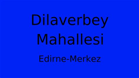 Edirne Merkez Dilaverbey Mahallesi terapi halı yıkama