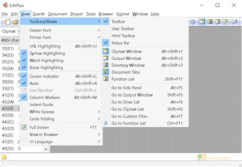 EditPlus for Windows