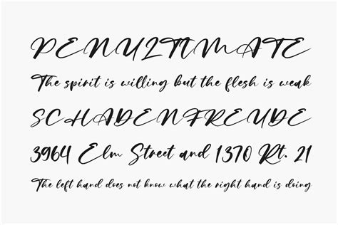 Edition free Font What Font Is