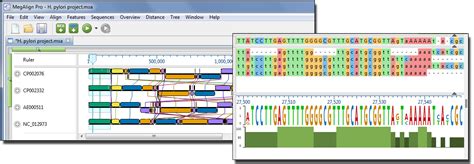 Editseq software - museumgasw