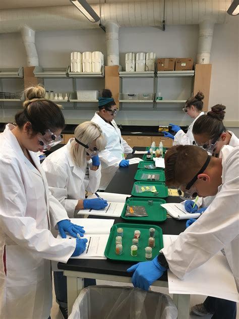 Education: The Pre-Collegiate Program