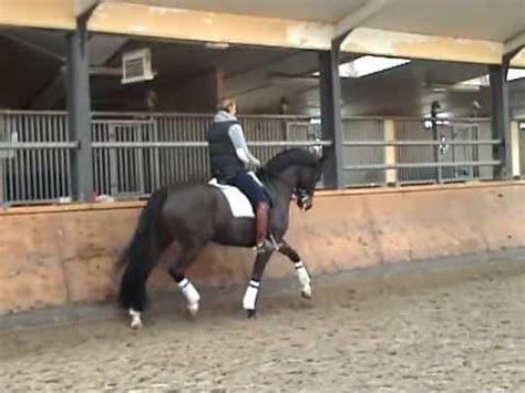 Edward gal training methods