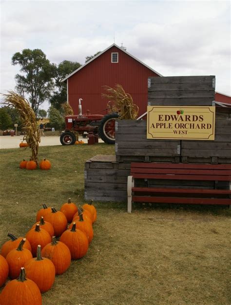 Edwards Apple Orchard West is located at 8218 Cemetery Road in Winnebago. Edwards Apple Orchard opens daily from 9 a.m. to 6 p.m. in September and October then from 9 a.m. to 5 p.m. in November .... 