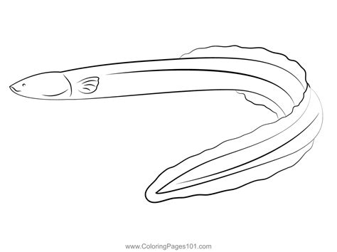 Eel Coloring Pages