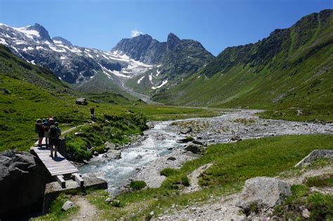 Een reiziger op weg naar de zwitserse alpen. - La terminologie franco-canadienne dans les sciences naturelles.