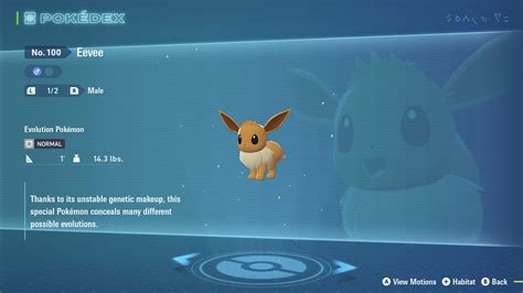 Eevee bot.  We will explain the setup soon in a better guide.  This Discor...
