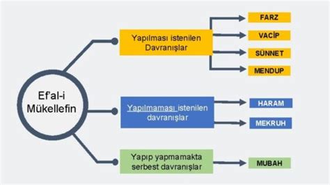 Efal-i mükellefin demek, Müslüman olan kimsenin yapması ve sakınması gereken dini işler demektir.