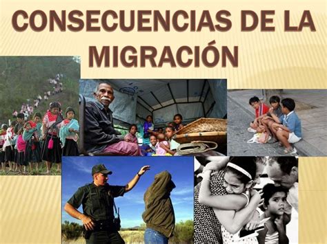 Efectos de la migración internacional en las comunidades de origen del suroeste de la república dominicana. - Nostalgia de deus, ou, a palavra perdida em miguel torga.