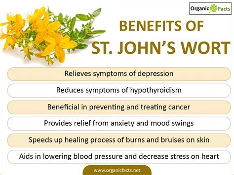 Effect of St. John