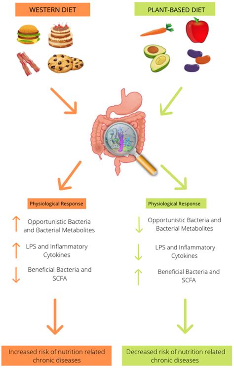 Effect of diet on gastric secretion - PubMed