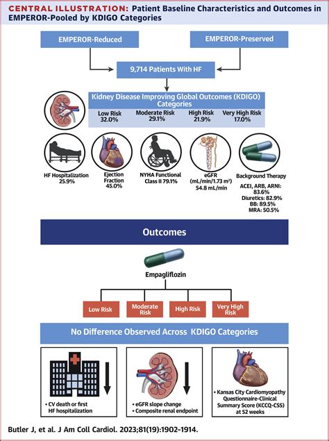 Effect of empagliflozin in patients with heart failure across the ...