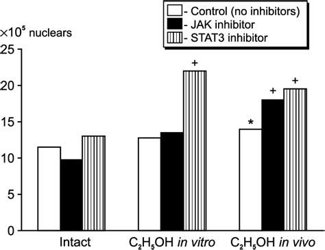 Effect of long-term, peroral administration of sugar alcohols on …