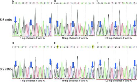 Effect of the amount of PCR template and ratio on the electropherogram